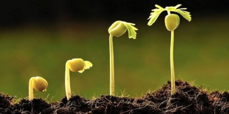 Memahami “Adab di Atas Ilmu”